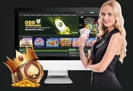 cassino plus platform interface showing live casino and sports betting on mobile